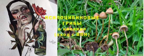 герыч Арсеньев